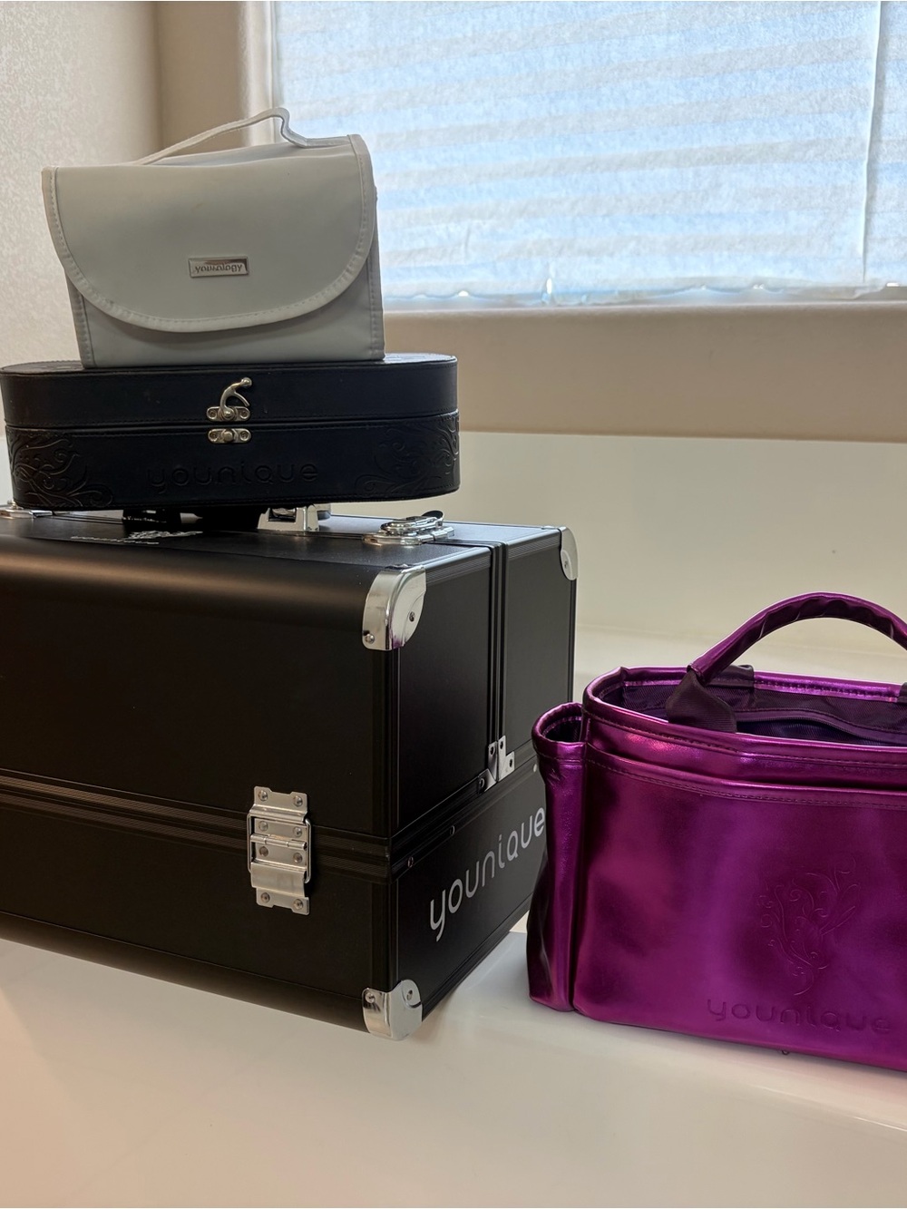 Younique trunk, leather case, Metallic Purple Organizer, and whitetravel bag